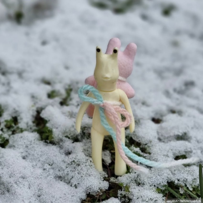 Мои фотографии в календаре Wonder frog 🐸