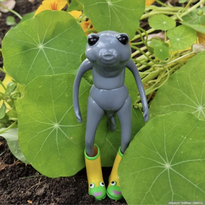 Мои фотографии в календаре Wonder frog 🐸