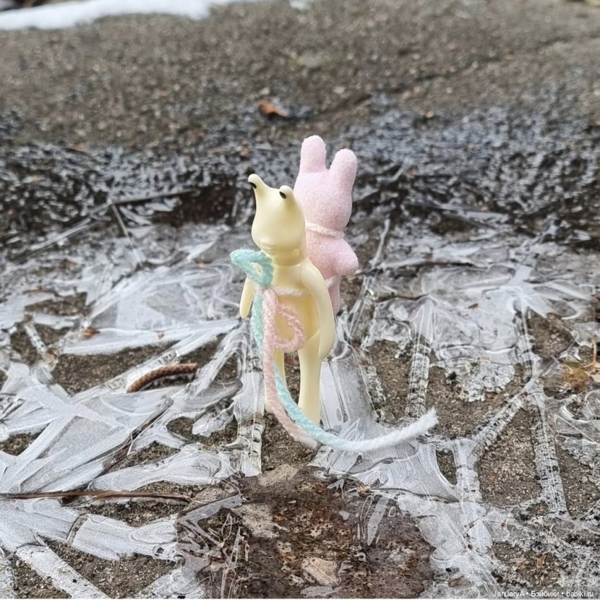 Мои фотографии в календаре Wonder frog 🐸