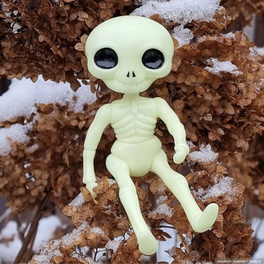 Мои фотографии в календаре Wonder frog 🐸