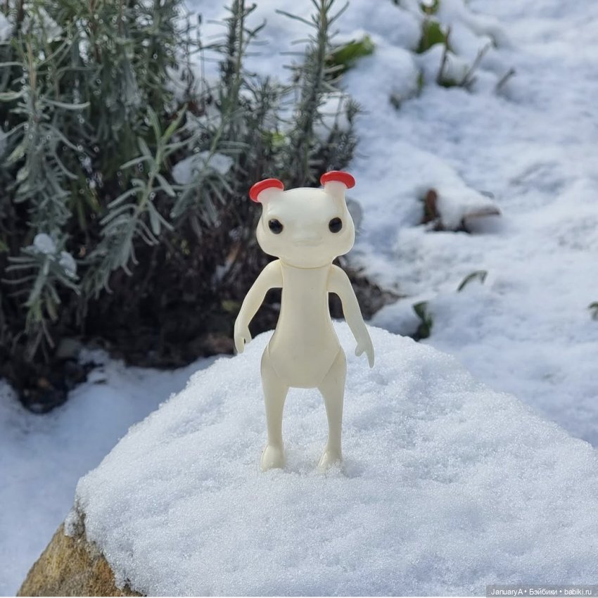 Мои фотографии в календаре Wonder frog 🐸 (фото 8)