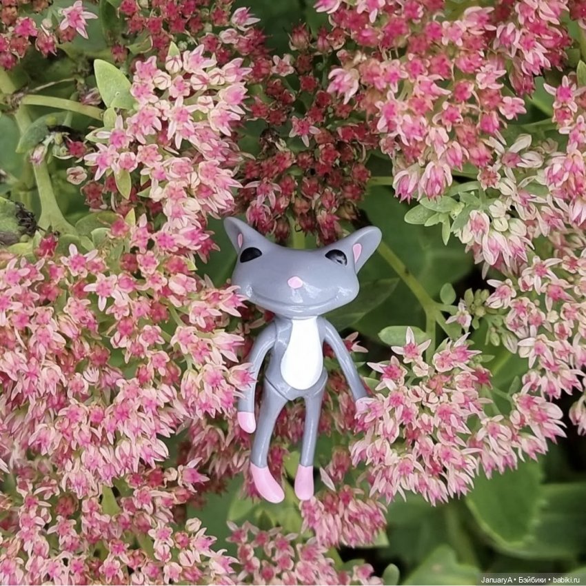 Мои фотографии в календаре Wonder frog 🐸