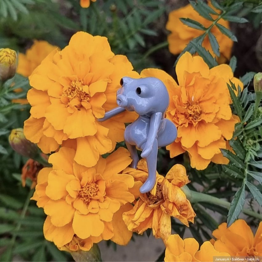 Мои фотографии в календаре Wonder frog 🐸