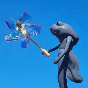 Мои фотографии в календаре Wonder frog 🐸