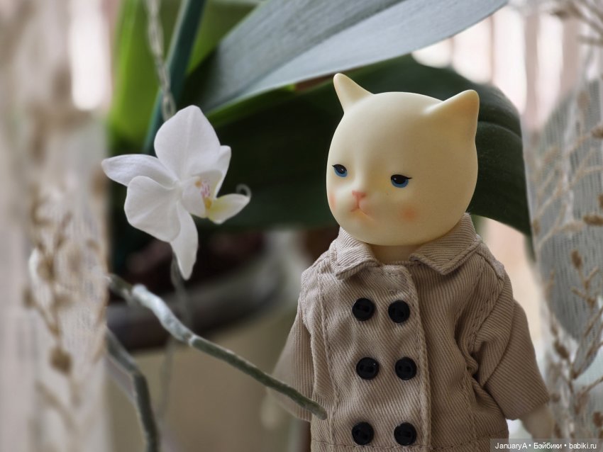Котя 🐈 — Азиатские виниловые куклы (разное): Китай (фото 3)