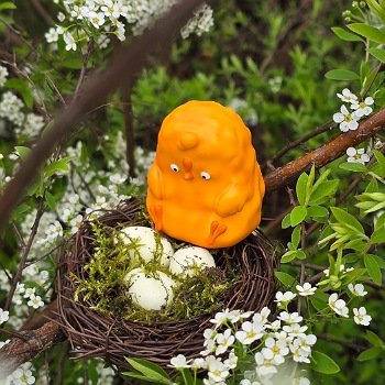 Про птиц 🐥