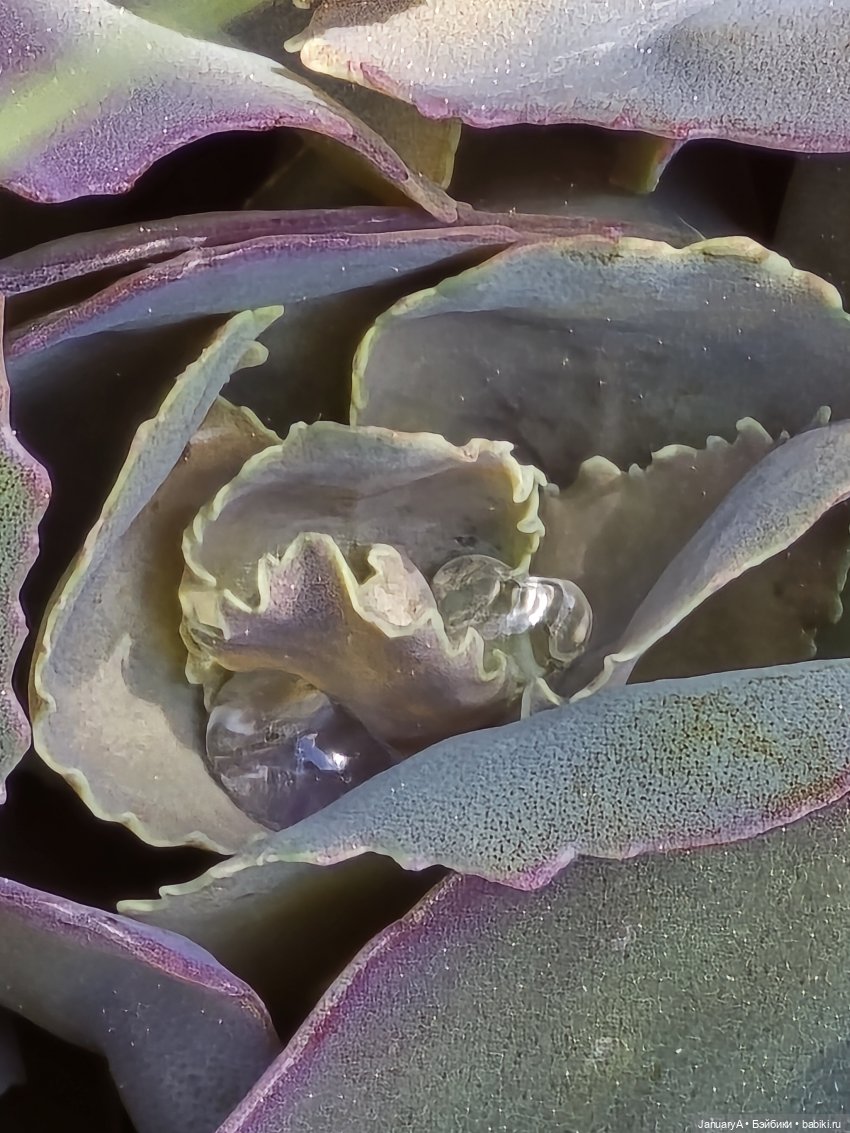 Весна 🌱 — Красивая природа и цветы: фото пейзажей