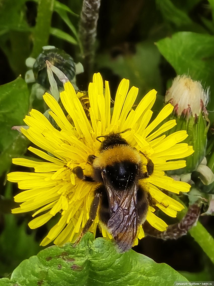 Весна 🌱 — Красивая природа и цветы: фото пейзажей