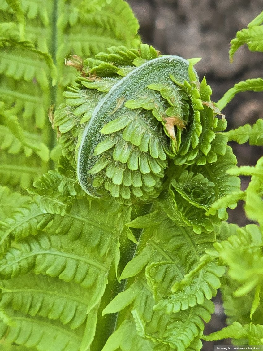 Весна 🌱 — Красивая природа и цветы: фото пейзажей (фото 4)