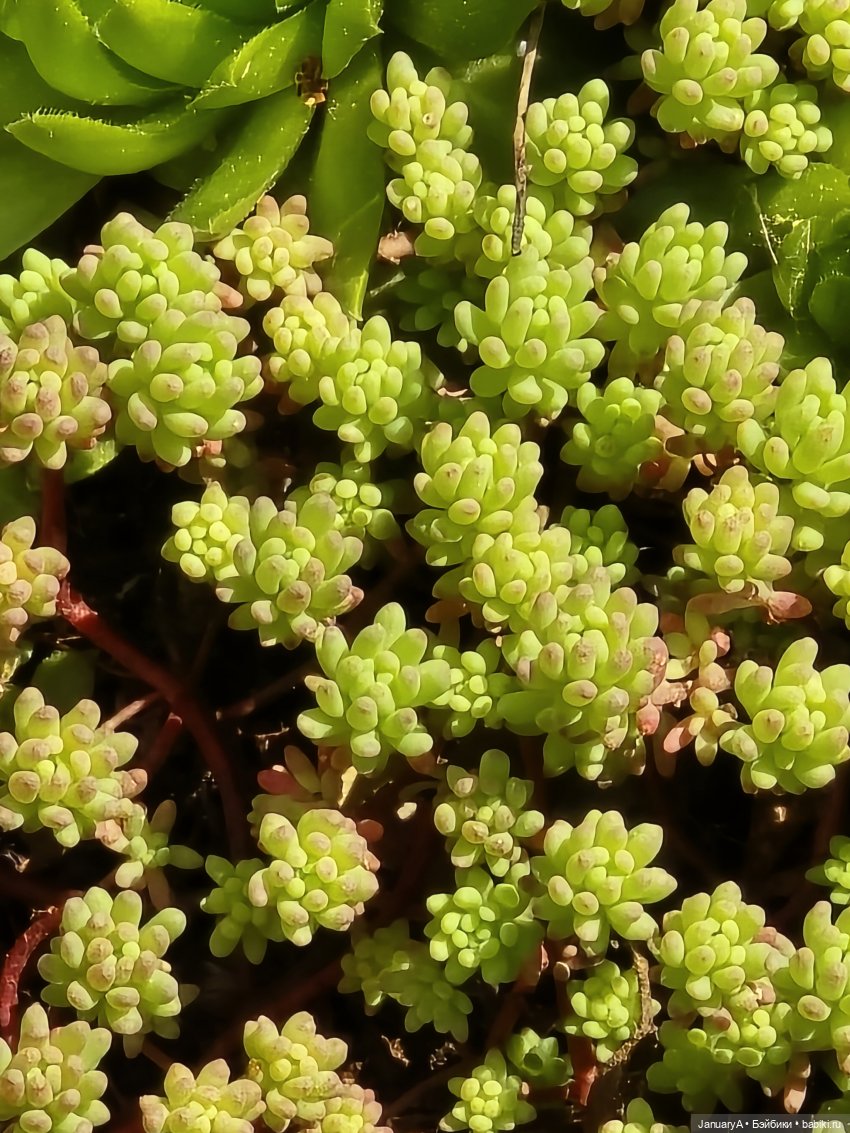 Весна 🌱 — Красивая природа и цветы: фото пейзажей