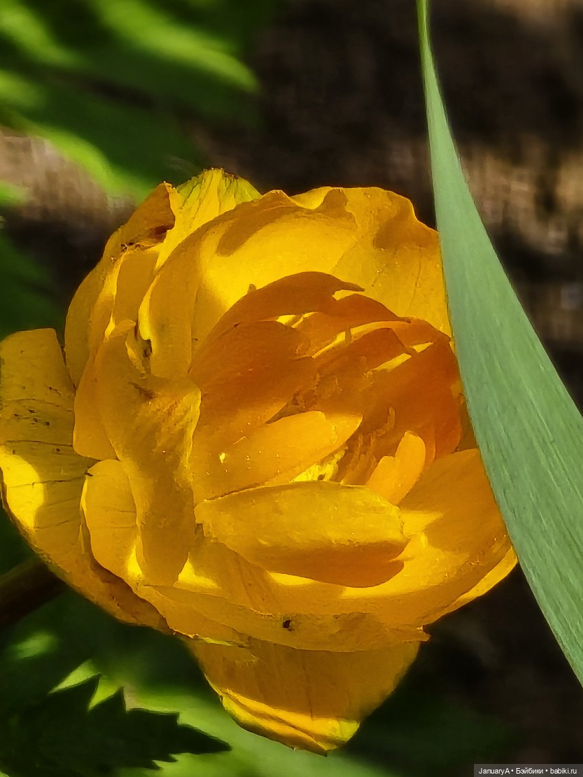 Весна 🌱 — Красивая природа и цветы: фото пейзажей