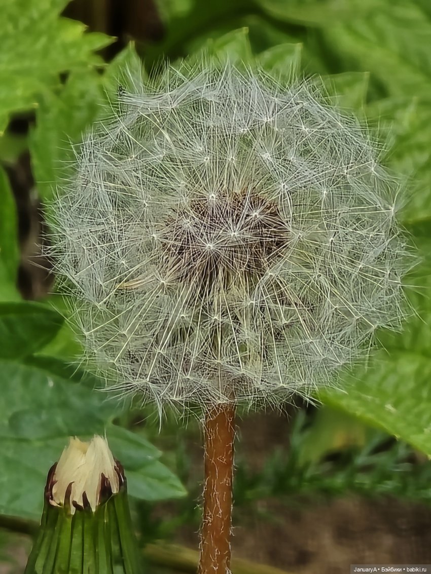 Весна 🌱 — Красивая природа и цветы: фото пейзажей