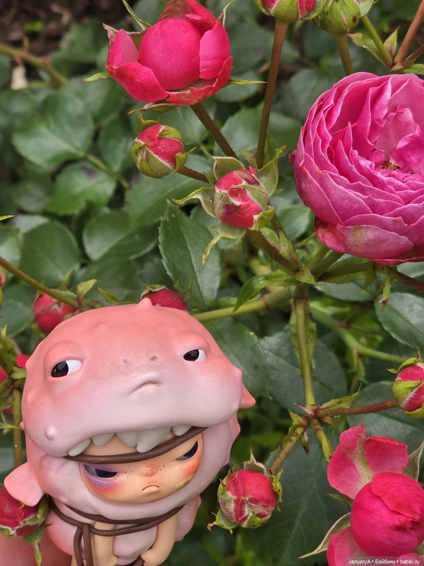 Рыбья морда — Фигурки Pop Mart (Поп Март): Blind Box