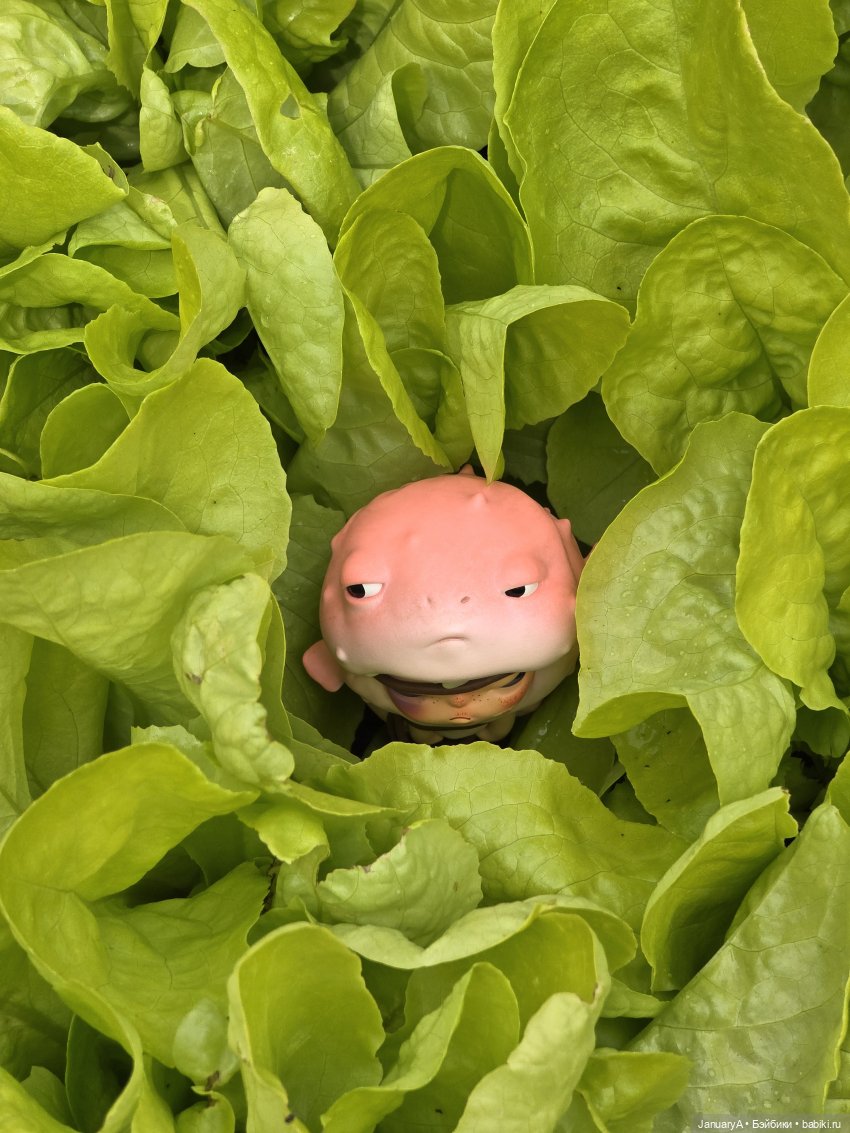 Рыбья морда — Фигурки Pop Mart (Поп Март): Blind Box (фото 7)