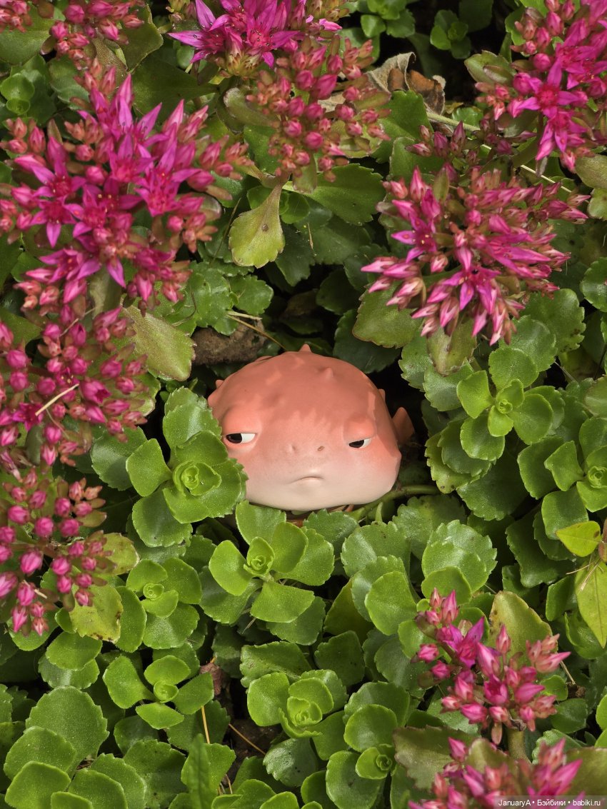 Рыбья морда — Фигурки Pop Mart (Поп Март): Blind Box (фото 9)