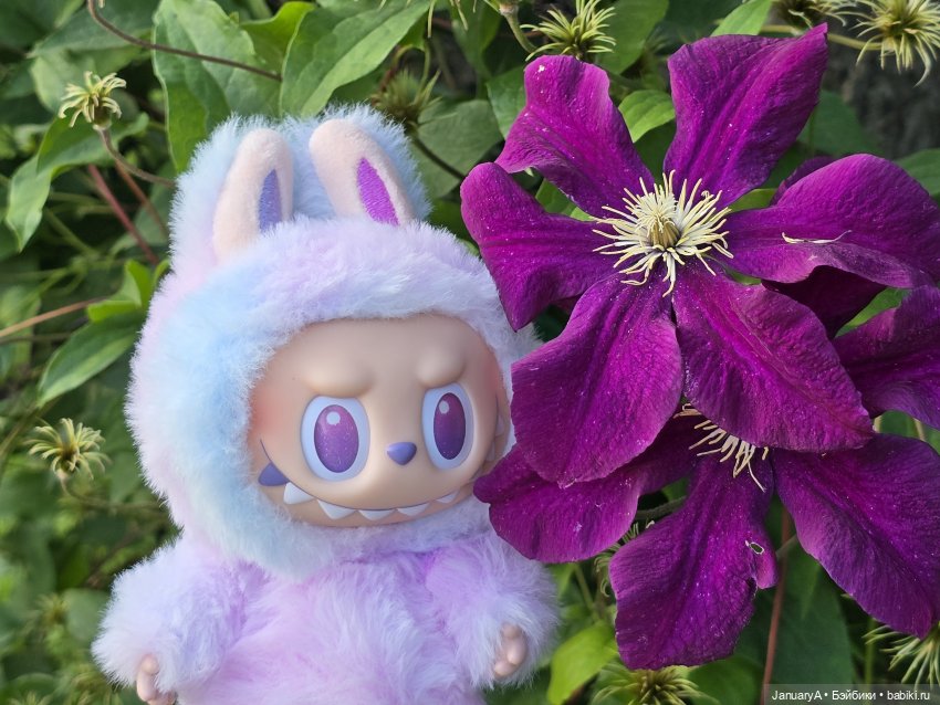 Лабубу Удача 💜 — Игрушки Labubu (Лабубу) и The Monsters: Pop Mart