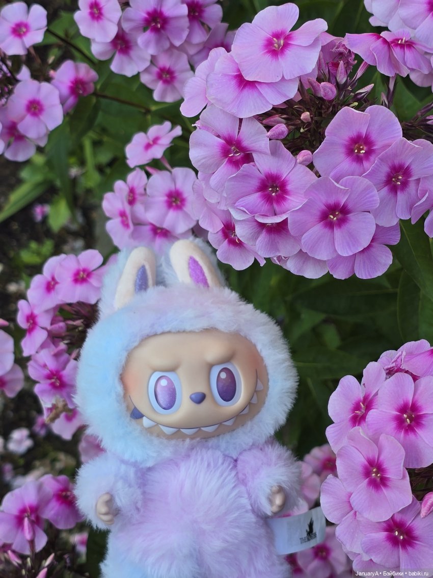 Лабубу Удача 💜 — Игрушки Labubu (Лабубу) и The Monsters: Pop Mart (фото 5)