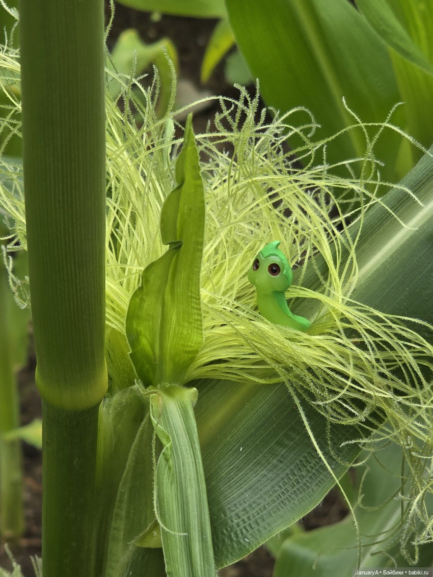 Гриня 🐛 — Фигурки Studio