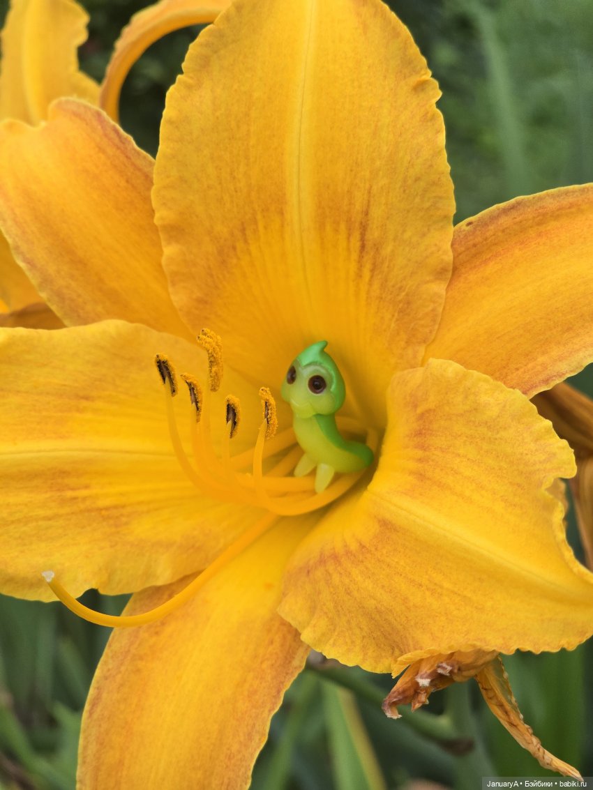 Гриня 🐛 — Фигурки Studio (фото 3)