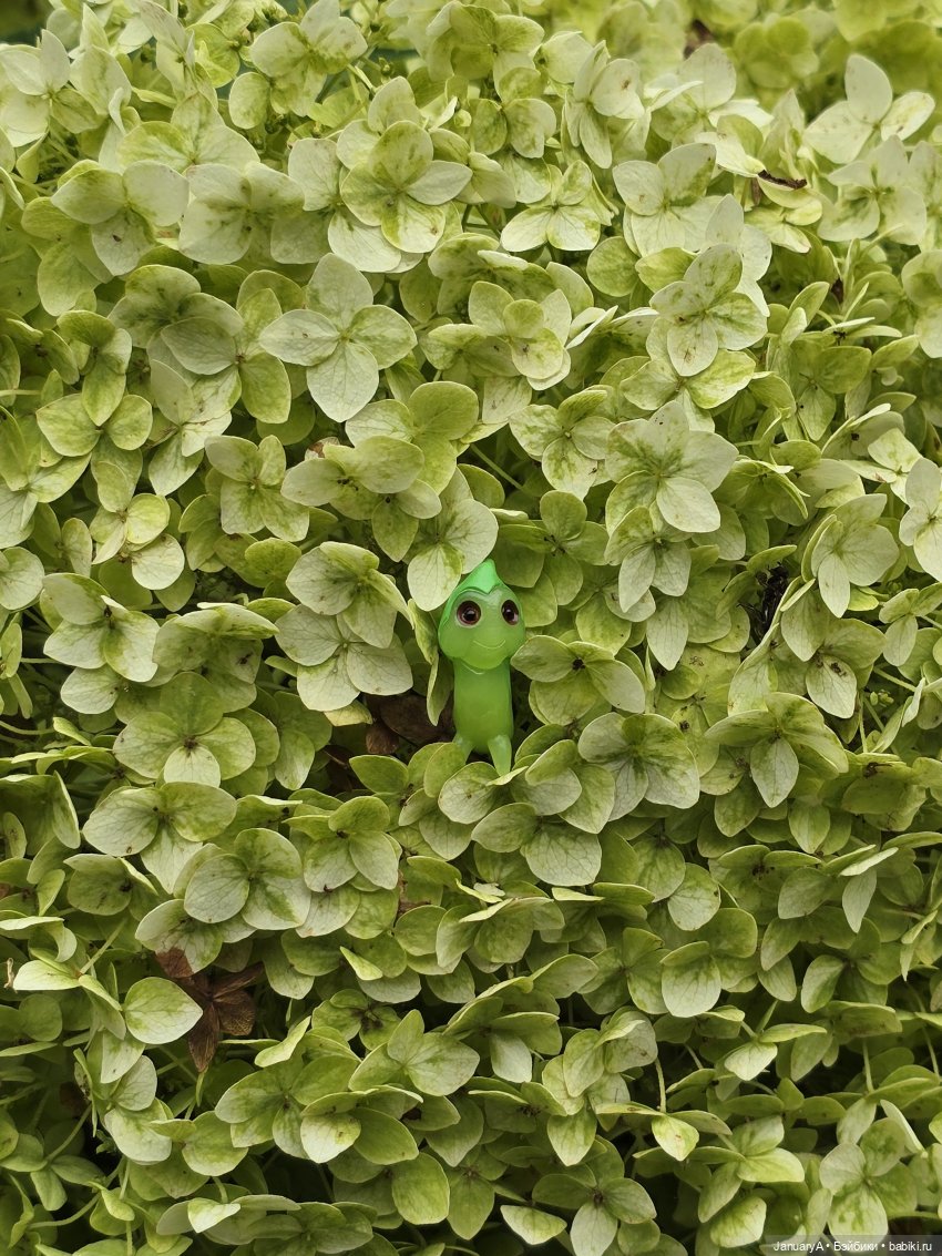 Гриня 🐛 — Фигурки Studio (фото 5)