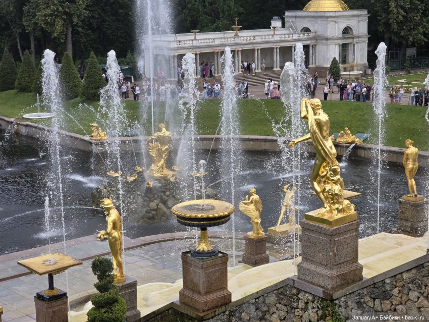 Большое путешествие маленького лягушонка 🐸 (фото 2)