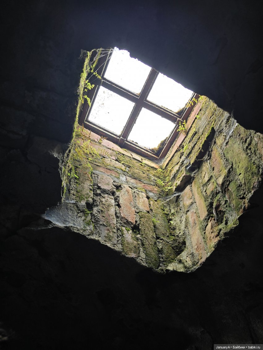 Большое путешествие маленького лягушонка 🐸 (фото 4)