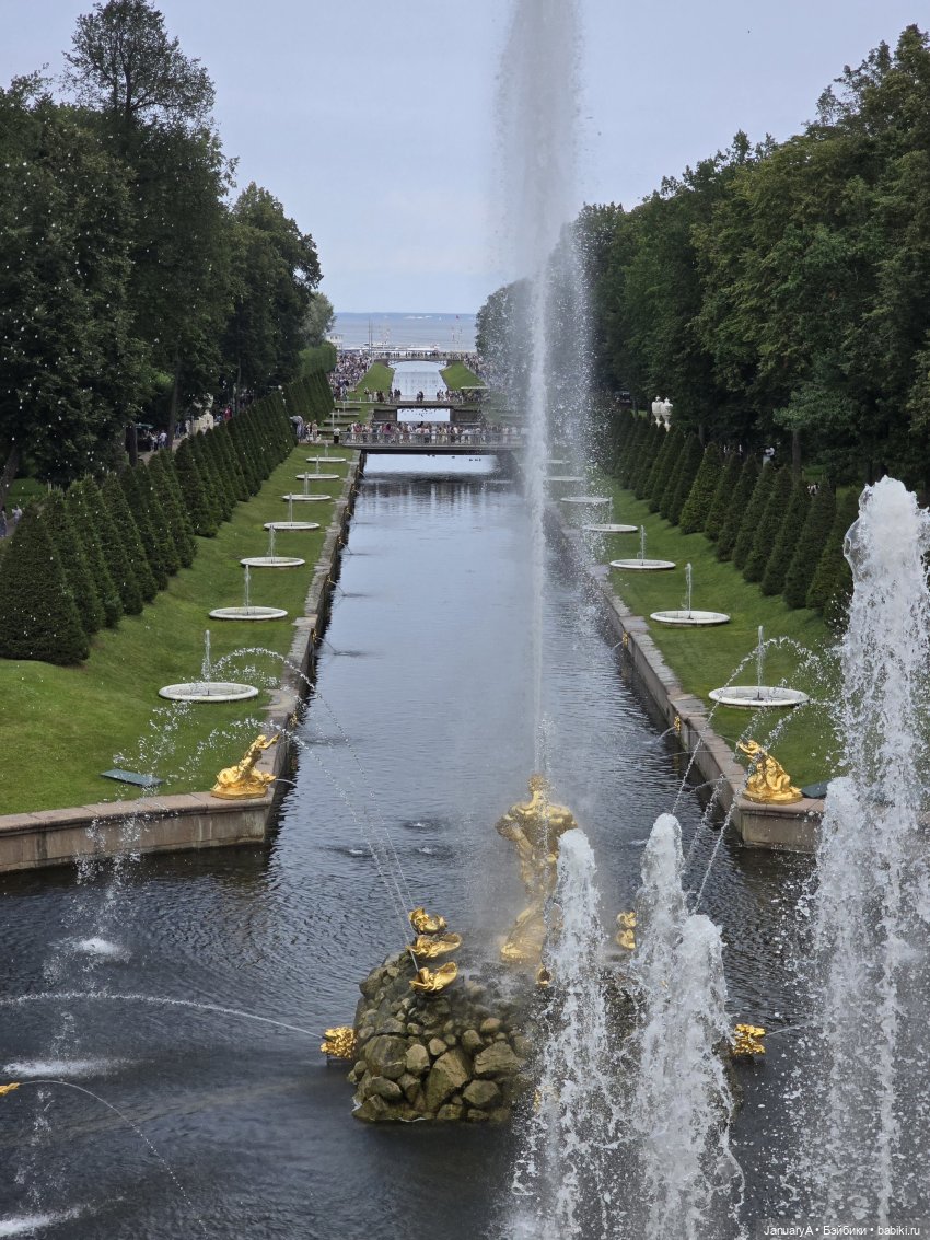 Большое путешествие маленького лягушонка 🐸 (фото 3)