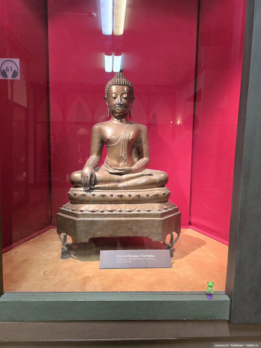 Большое путешествие маленького лягушонка 🐸