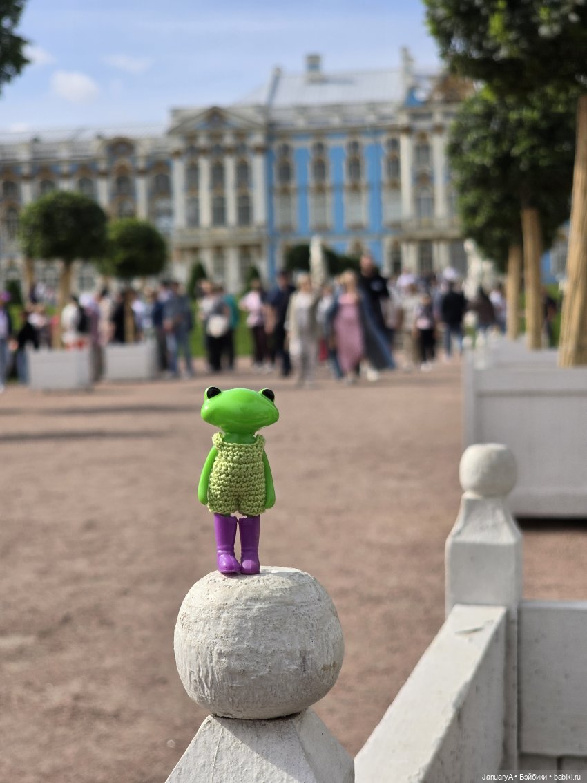 Большое путешествие маленького лягушонка 🐸