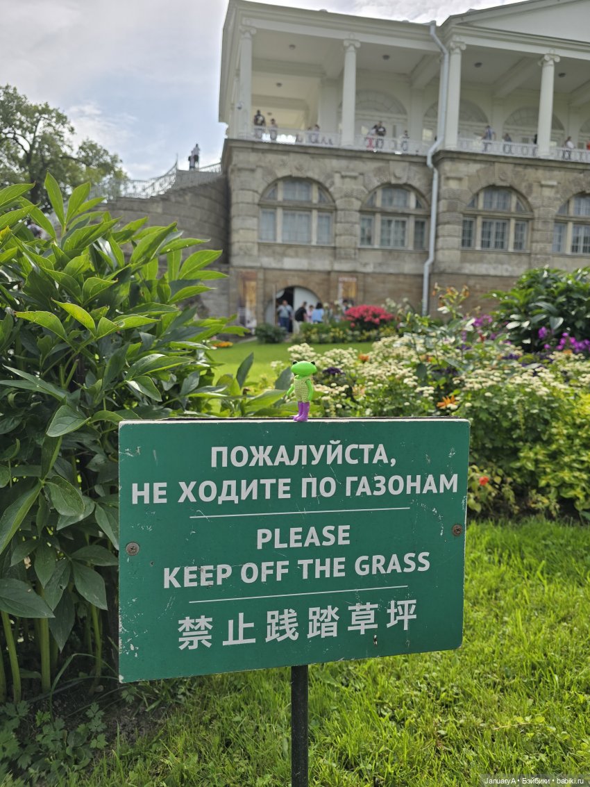 Большое путешествие маленького лягушонка 🐸