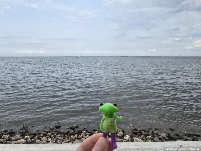 Большое путешествие маленького лягушонка 🐸 (фото 7)