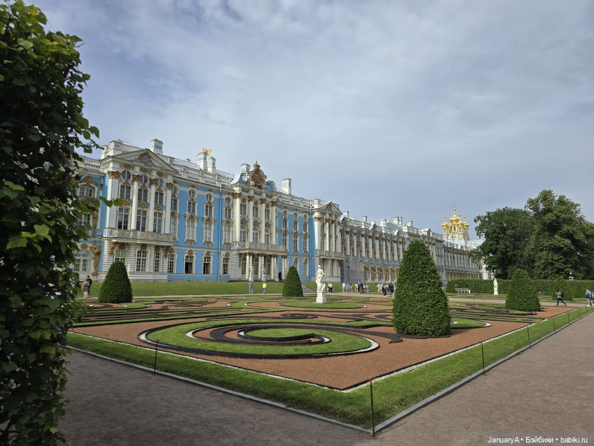 Большое путешествие маленького лягушонка 🐸