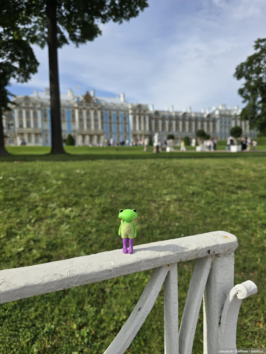 Большое путешествие маленького лягушонка 🐸