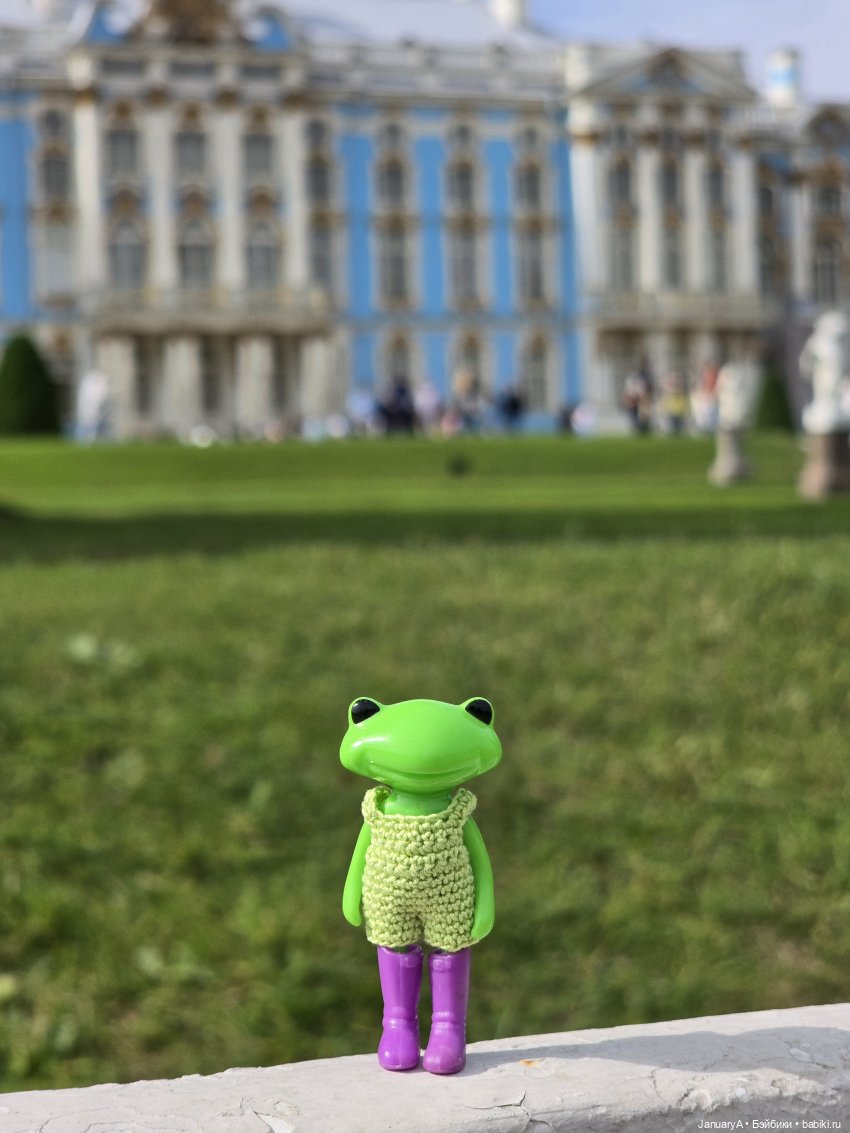 Большое путешествие маленького лягушонка 🐸