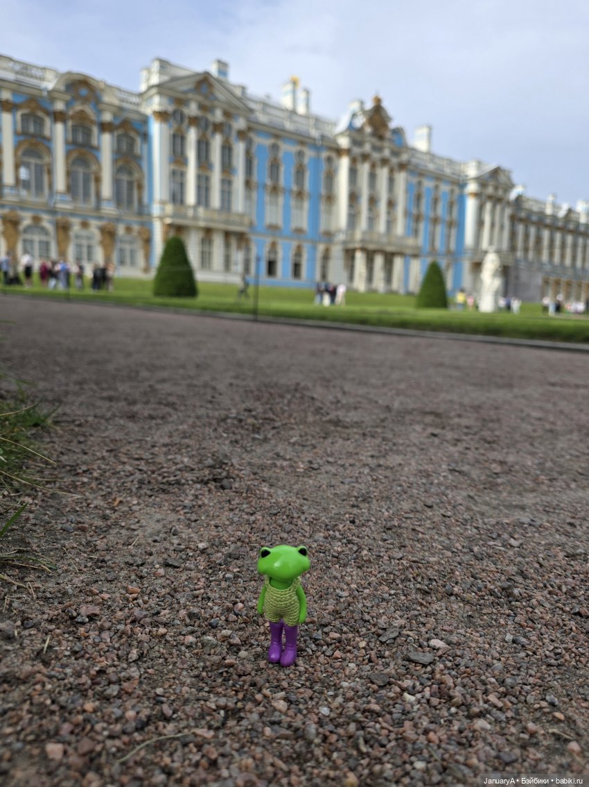 Большое путешествие маленького лягушонка 🐸