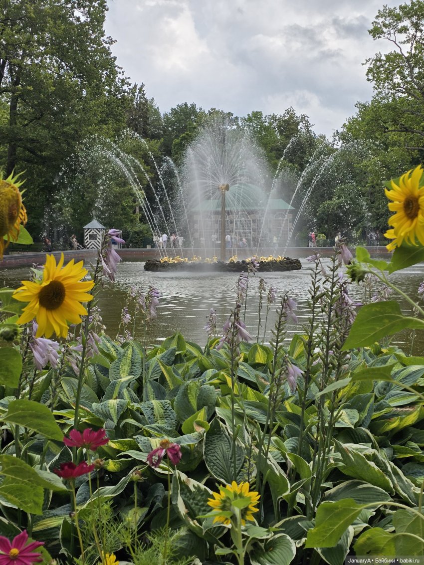 Большое путешествие маленького лягушонка 🐸 (фото 6)