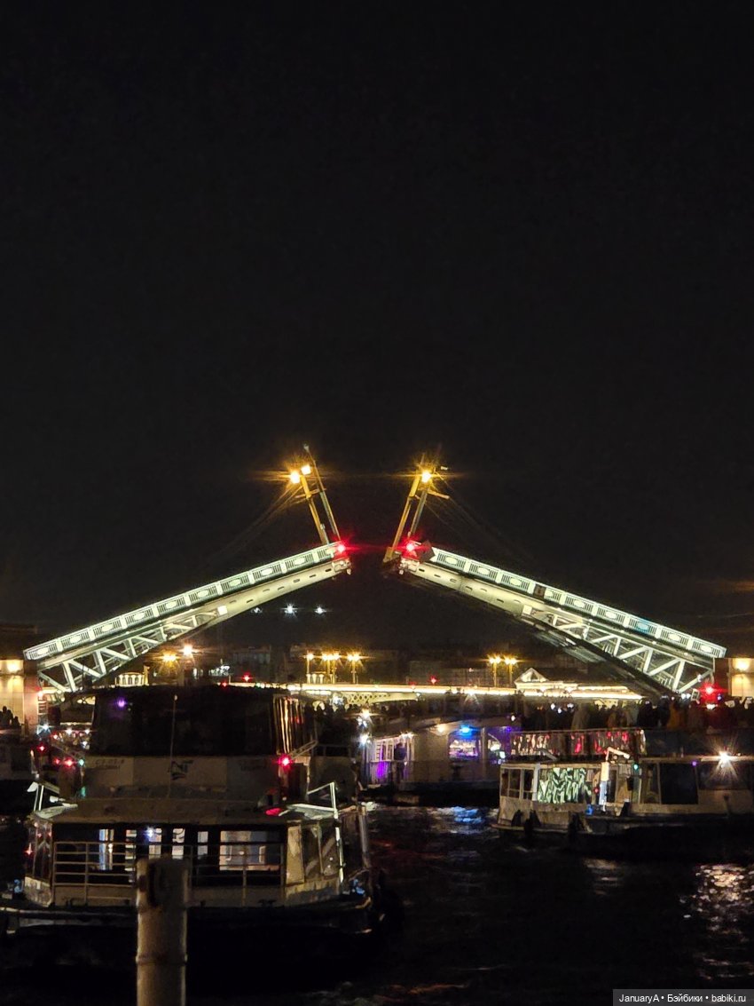 Большое путешествие маленького лягушонка 🐸