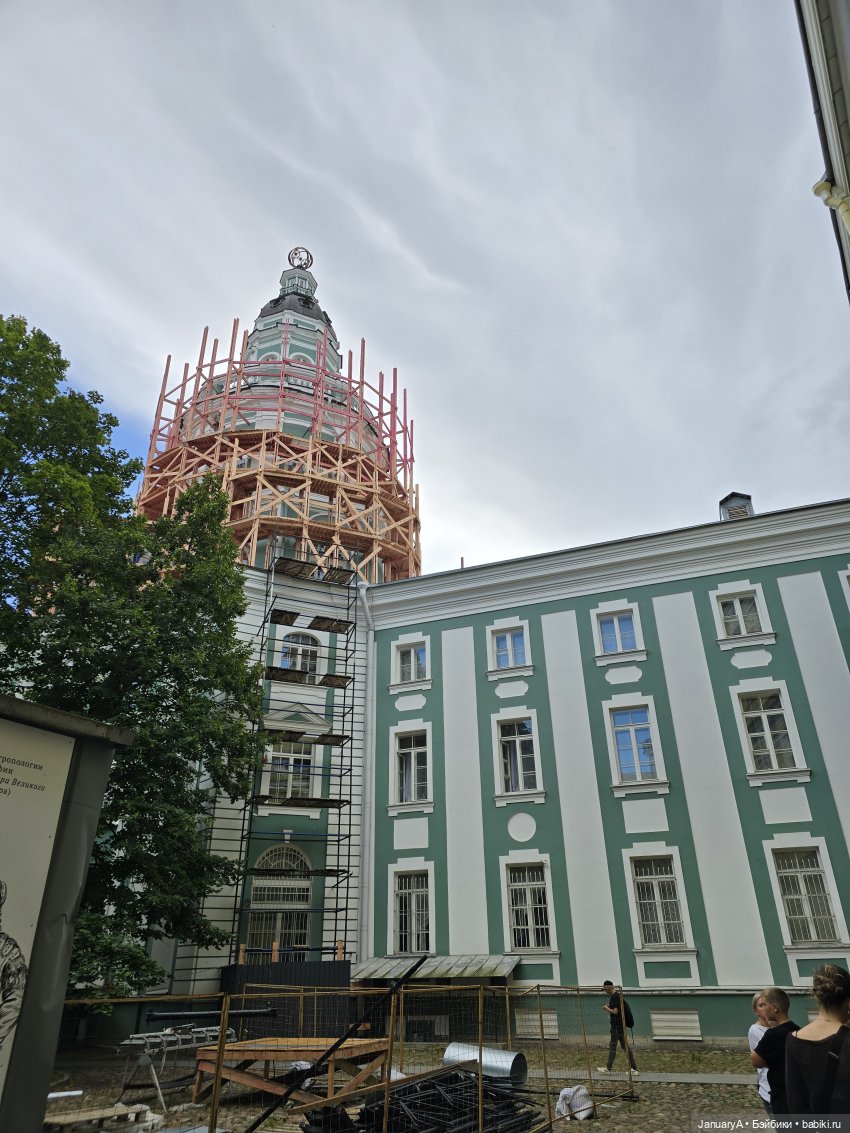 Большое путешествие маленького лягушонка 🐸