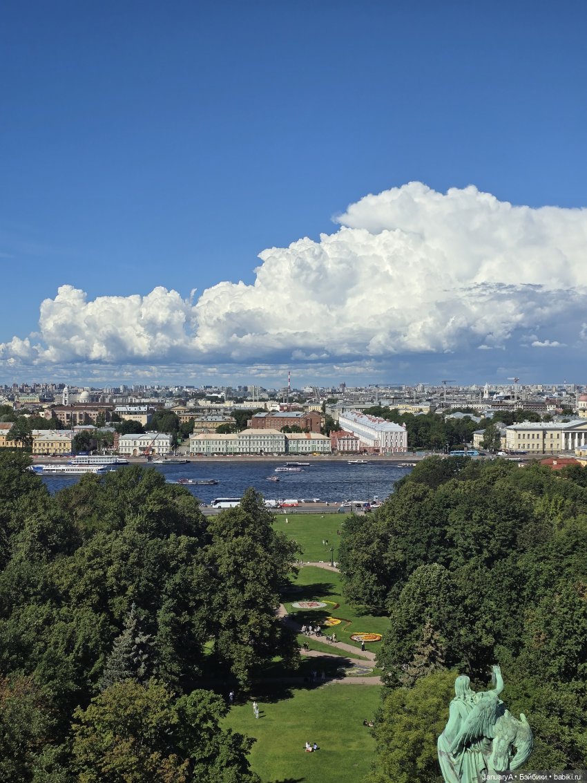 Большое путешествие маленького лягушонка 🐸