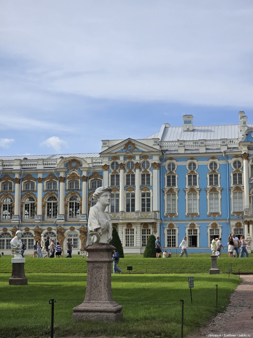 Большое путешествие маленького лягушонка 🐸