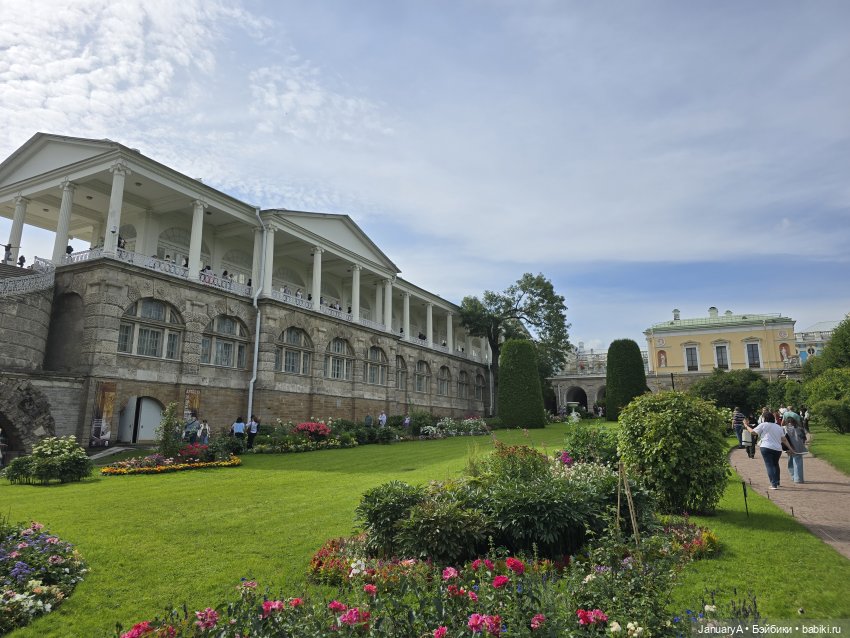 Большое путешествие маленького лягушонка 🐸