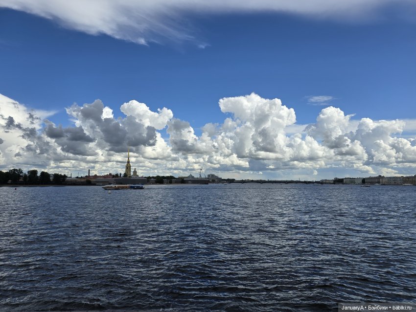 Большое путешествие маленького лягушонка 🐸