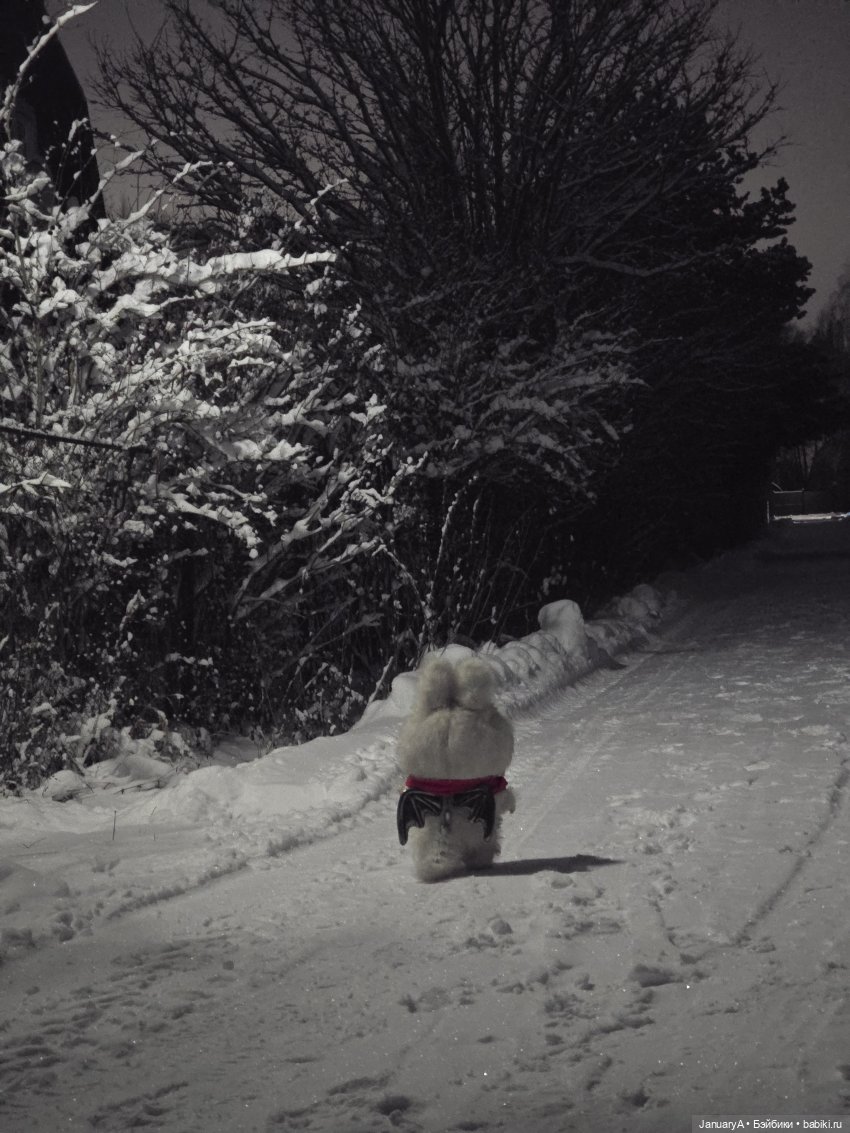 Angel in clouds — Игрушки Labubu (Лабубу) и The Monsters: Pop Mart