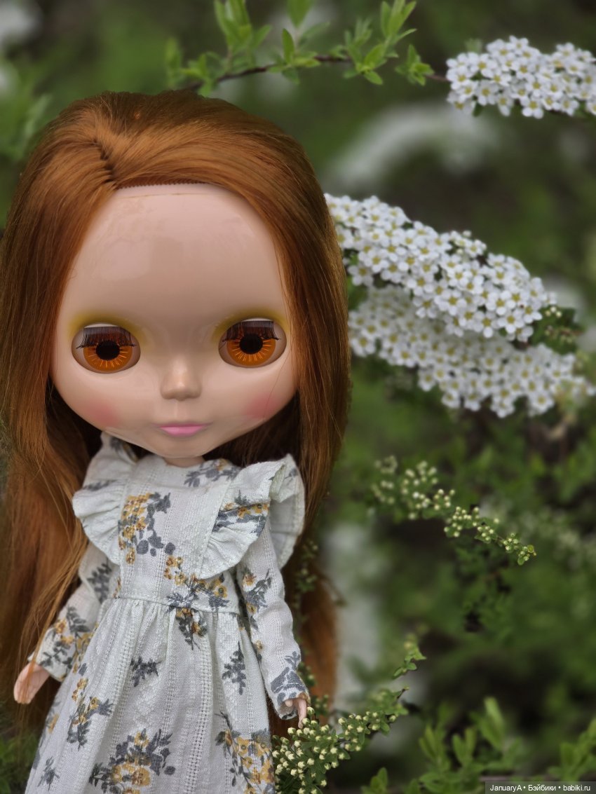 Блайз Pow Wow Poncho — Оригинальные куклы Blythe (Блайз): Takara
