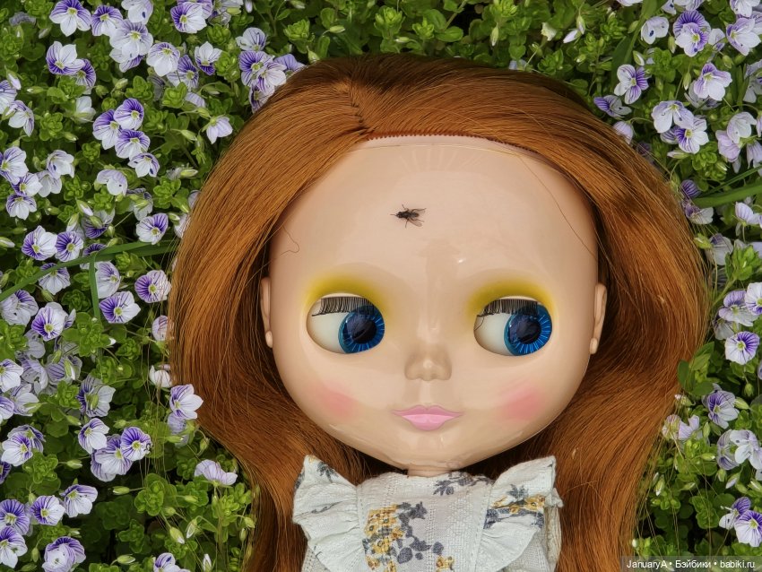 Блайз Pow Wow Poncho — Оригинальные куклы Blythe (Блайз): Takara