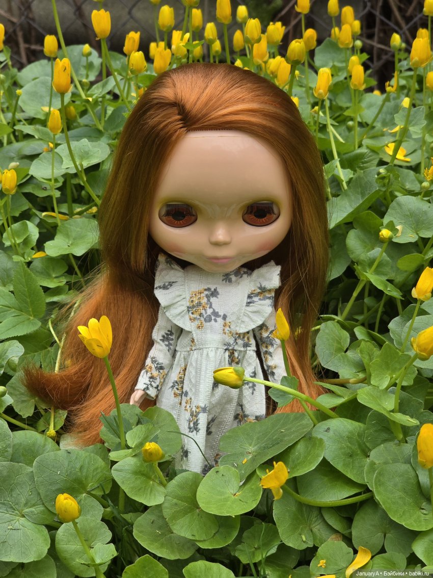 Блайз Pow Wow Poncho — Оригинальные куклы Blythe (Блайз): Takara