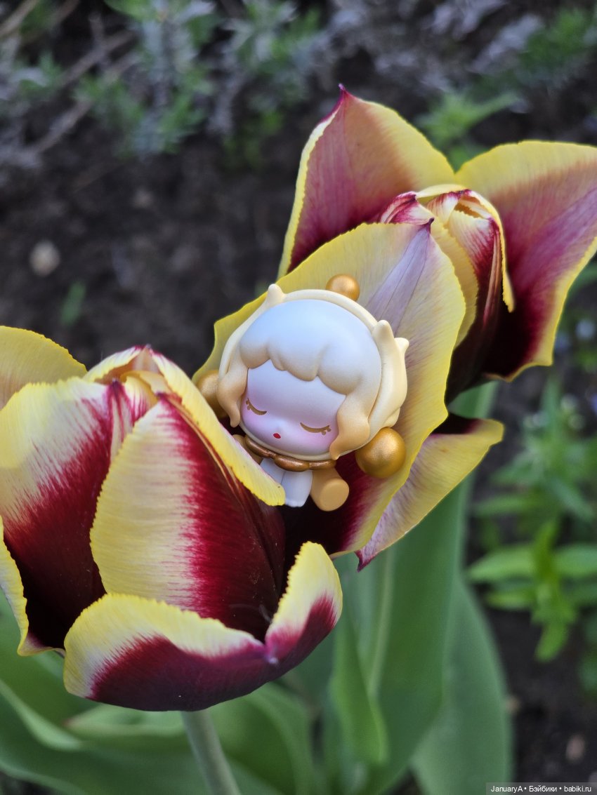Skullpanda Petals in Four Acts (фото 10)