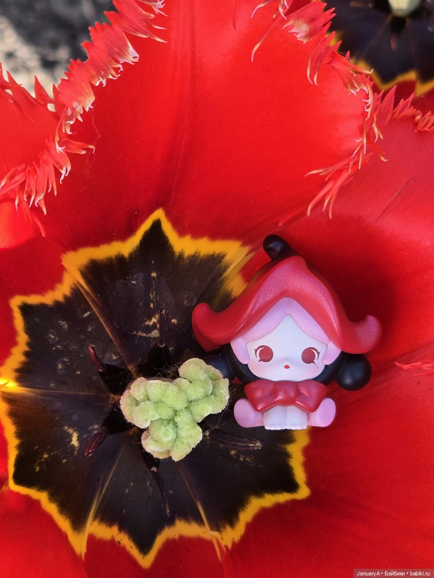 Skullpanda Petals in Four Acts