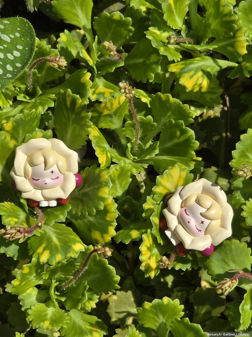 Skullpanda Petals in Four Acts