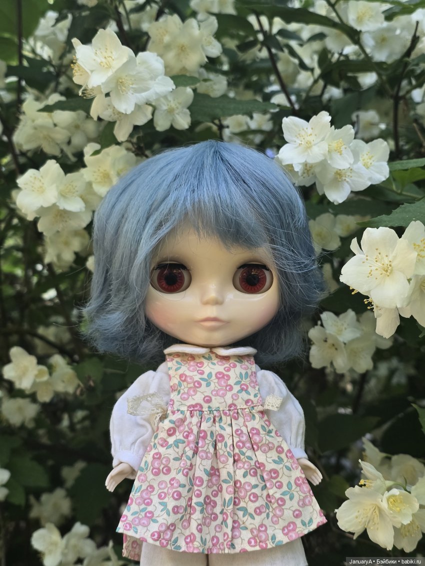 Блайз ❤️ — Оригинальные куклы Blythe (Блайз): Takara